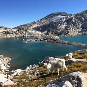 Meet your Posher, Nicole